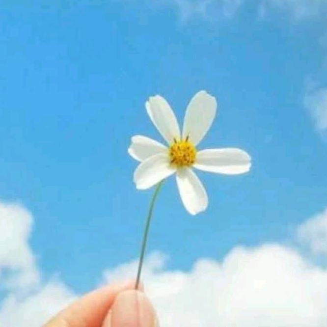 晓梅🌸人民商场老板电器