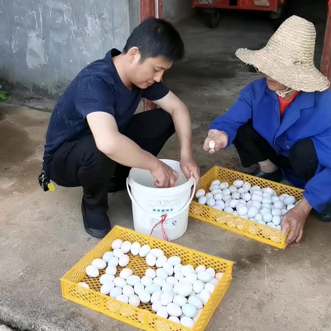 掉线的我