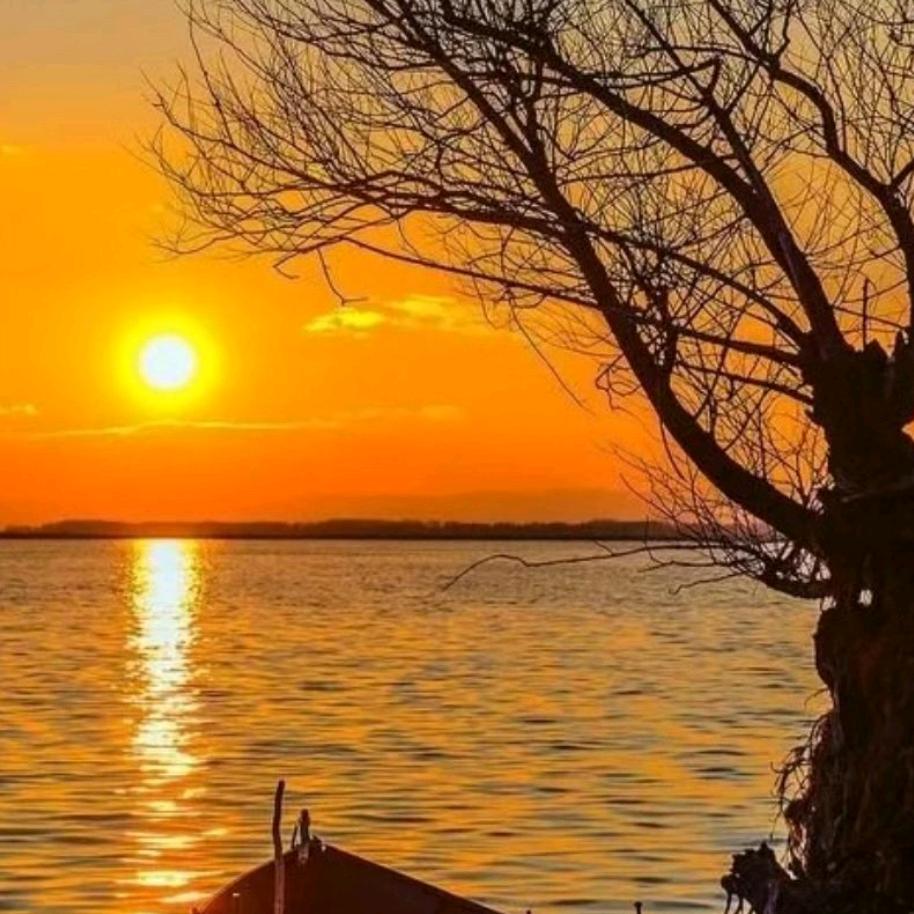 用户4699016690148无痕