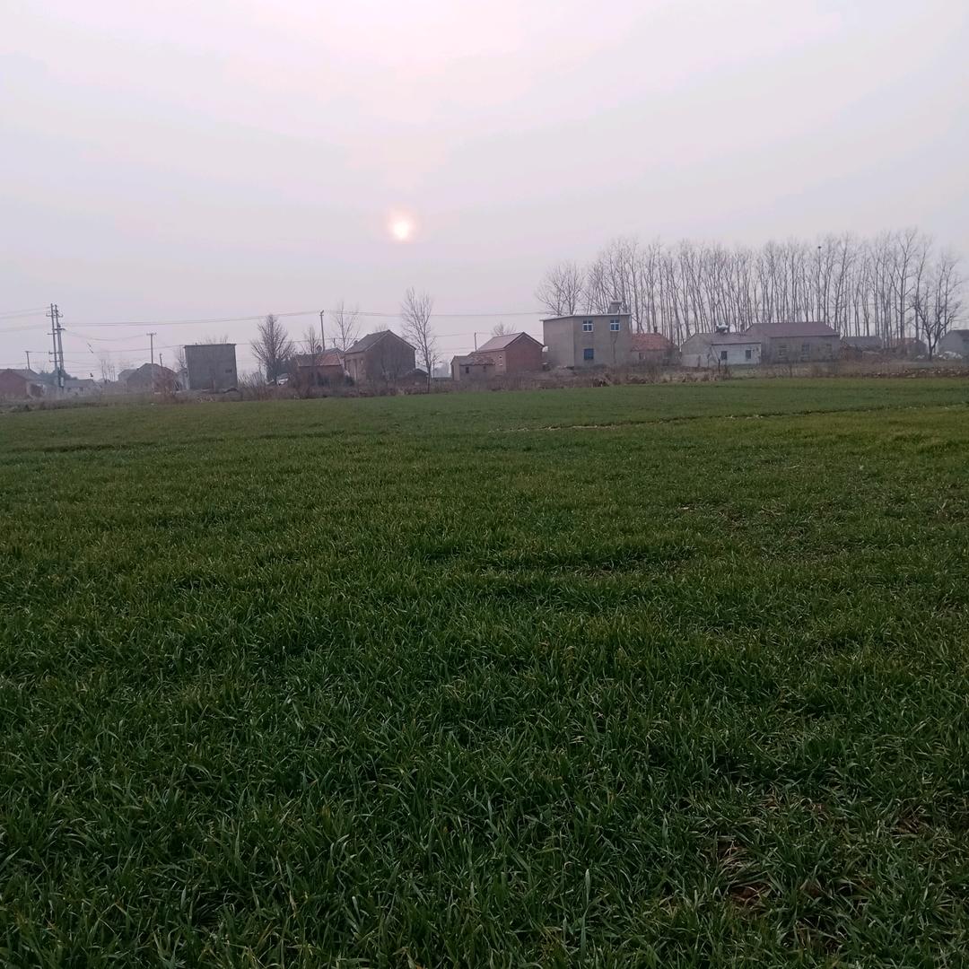 魚和熊掌不可兼得