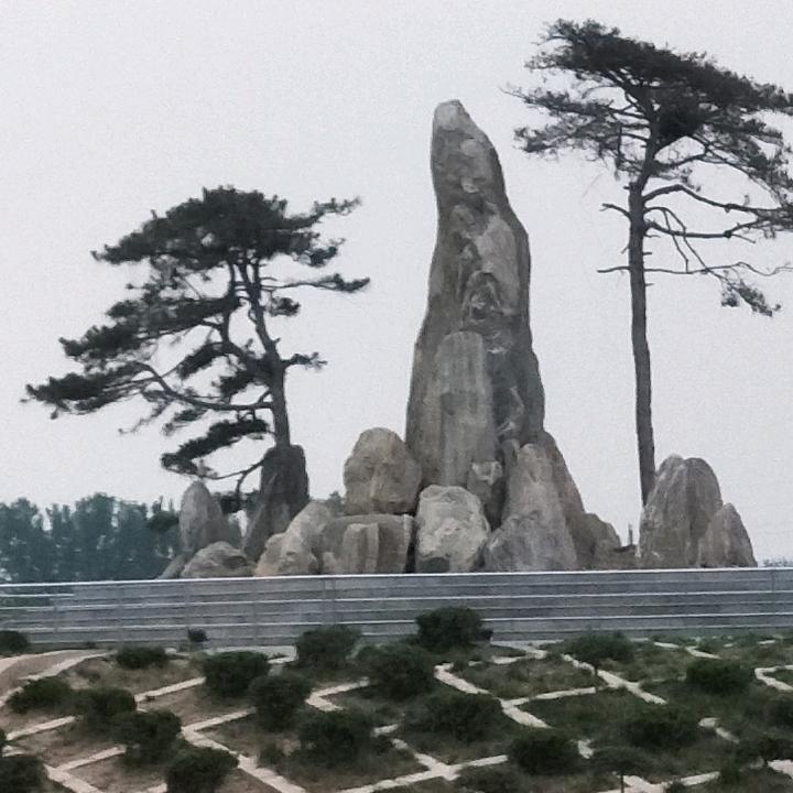 赵孝军