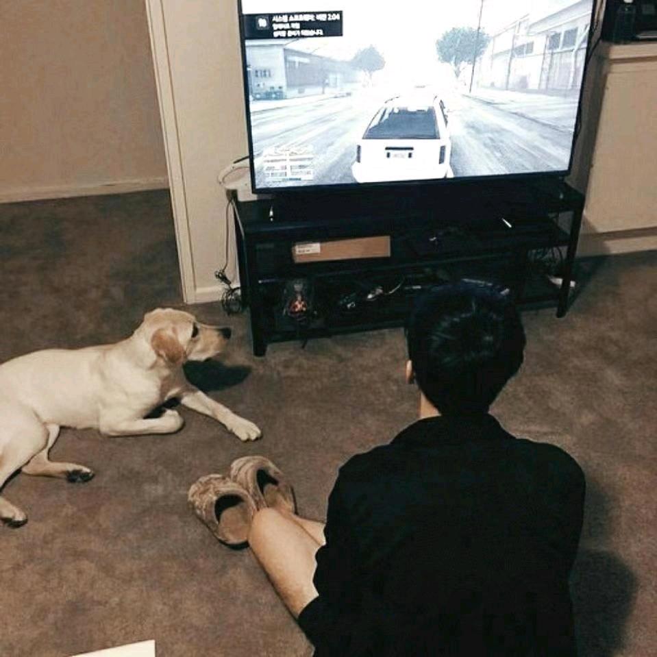 灯暖衣轻