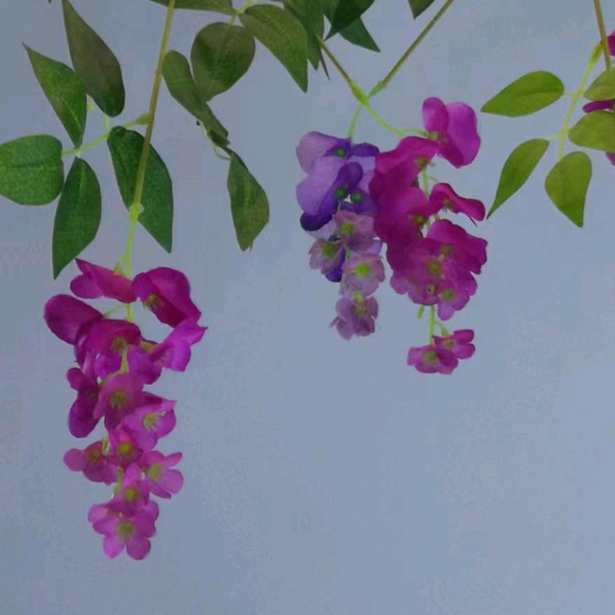 怡文