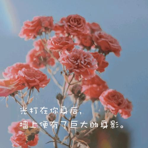 微笑橙子S6