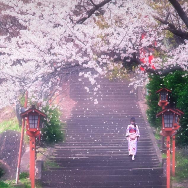 ✺◟人生如茶～