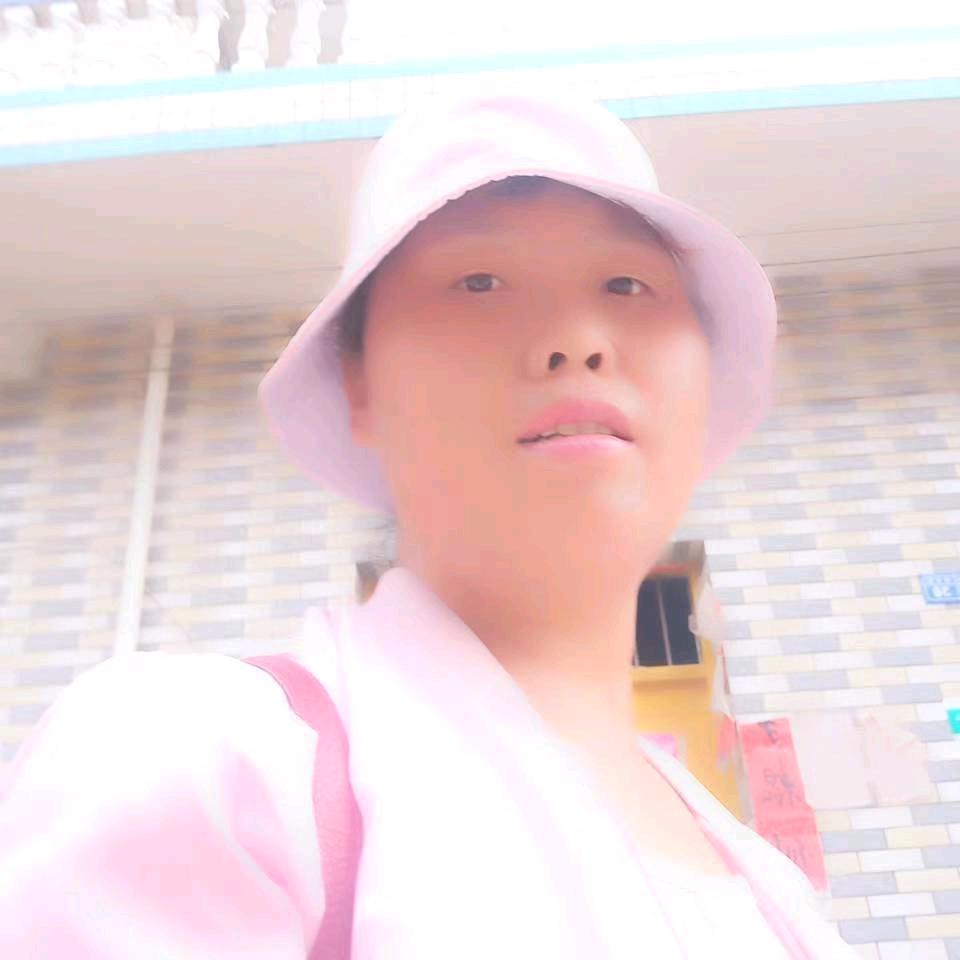 卢凤美