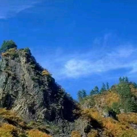 李唐Yo