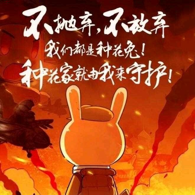 兔子军迷