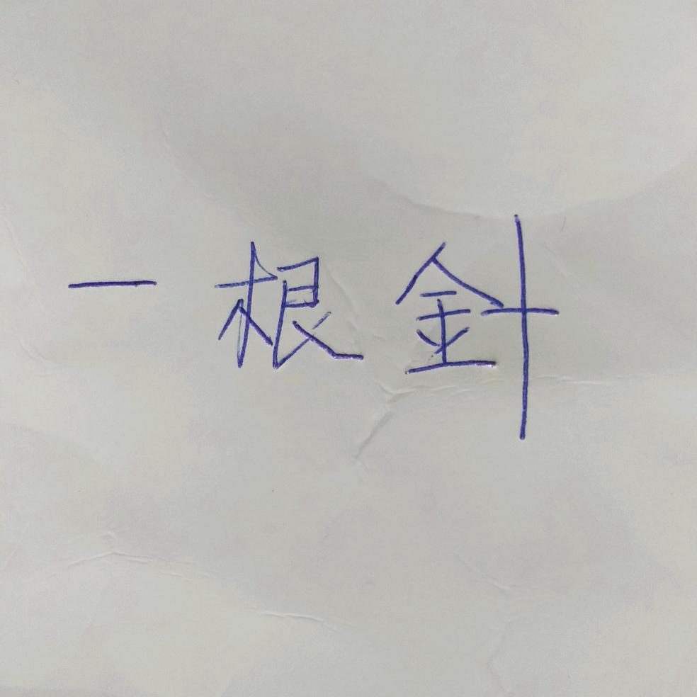 我的名字叫一根针，姐有的是个性我是一根针