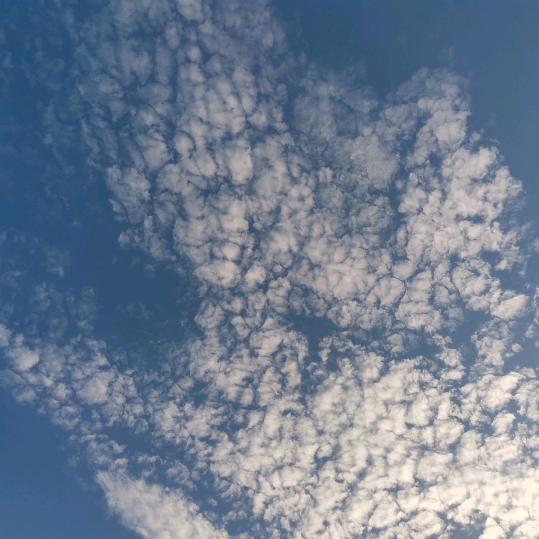 其实不是懒羊羊