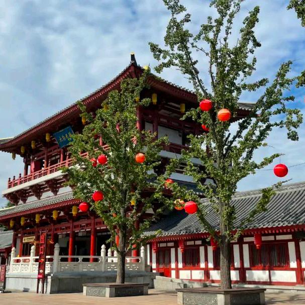 哥在远方梦见你