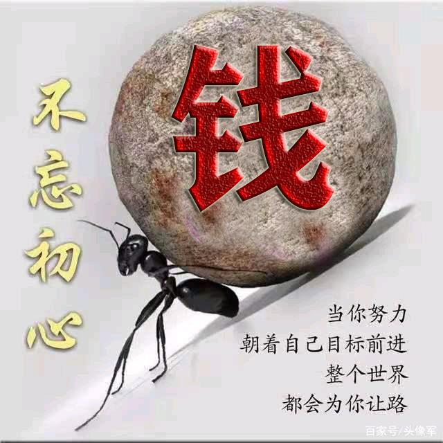 宿迁仰化赵四豇豆