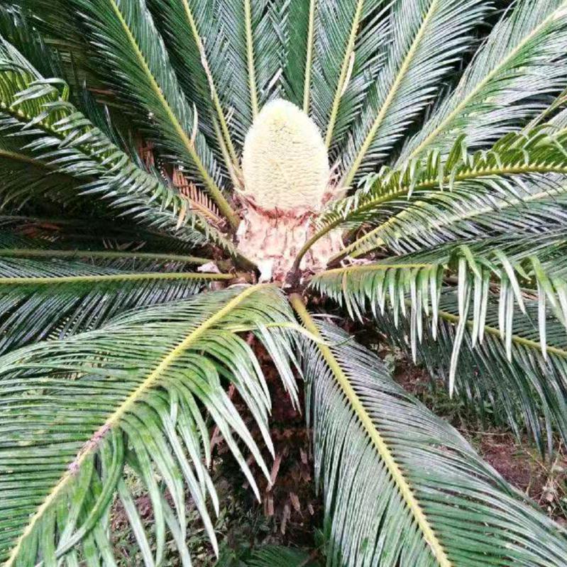 用户779585坚持就是胜利