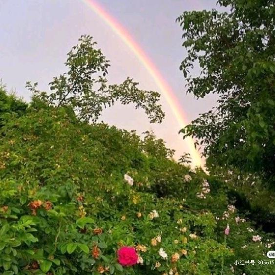 小小雨