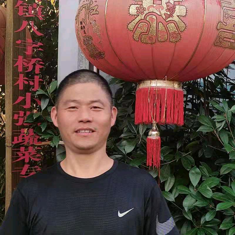 精菜在沃（小强）