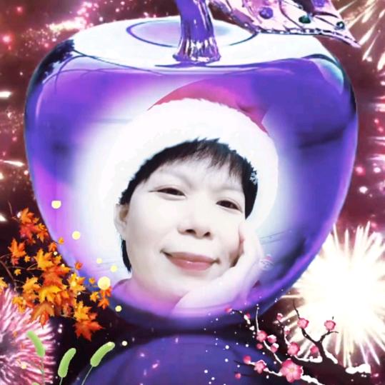 天香🌹百合🍒