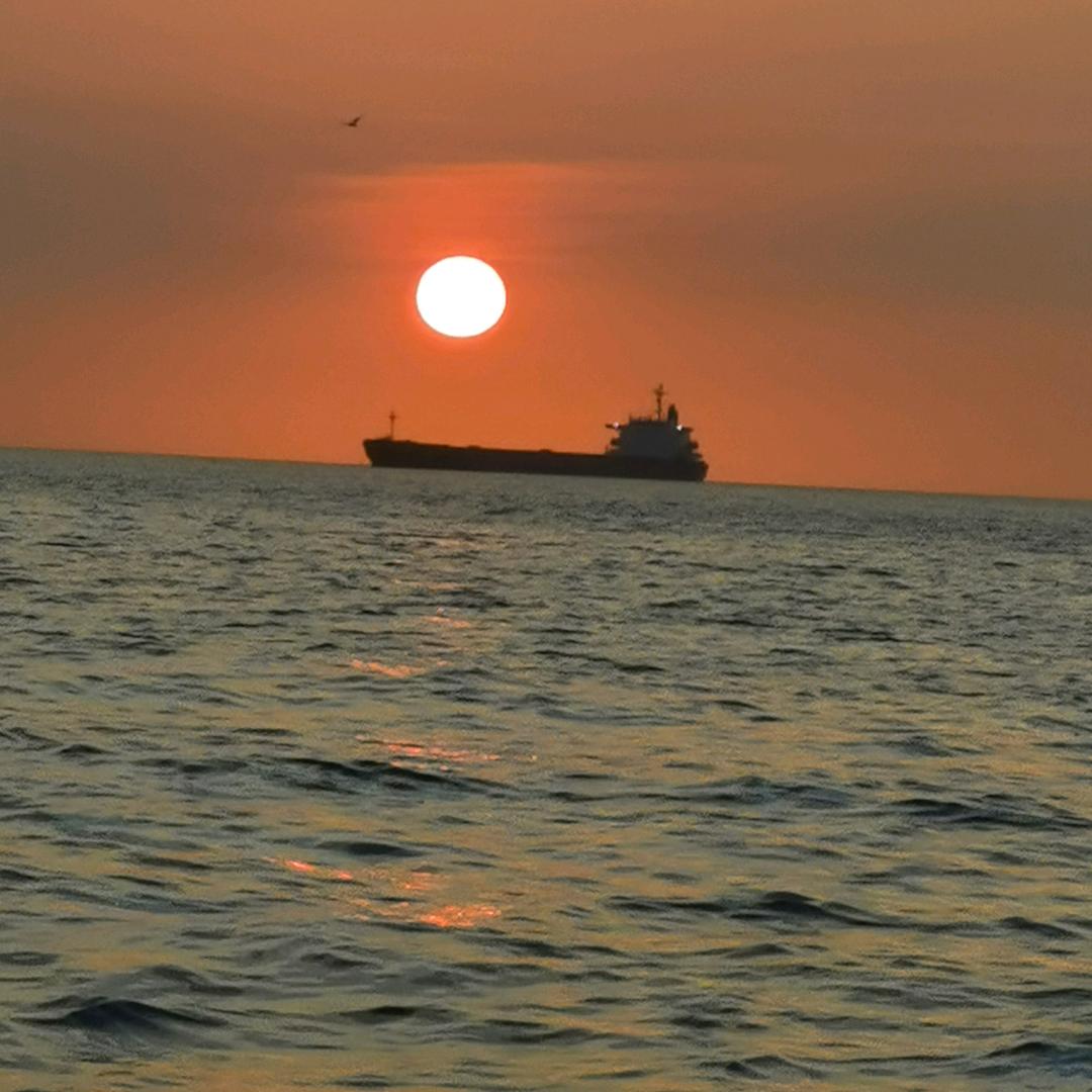 ༺࿅࿆浪子࿅࿆༻