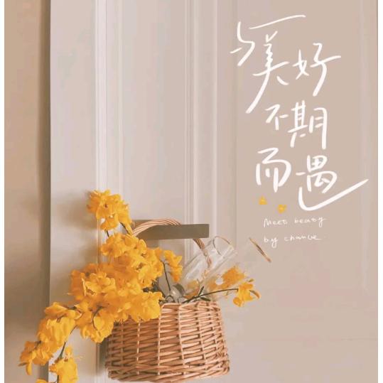 进 宝 ※
