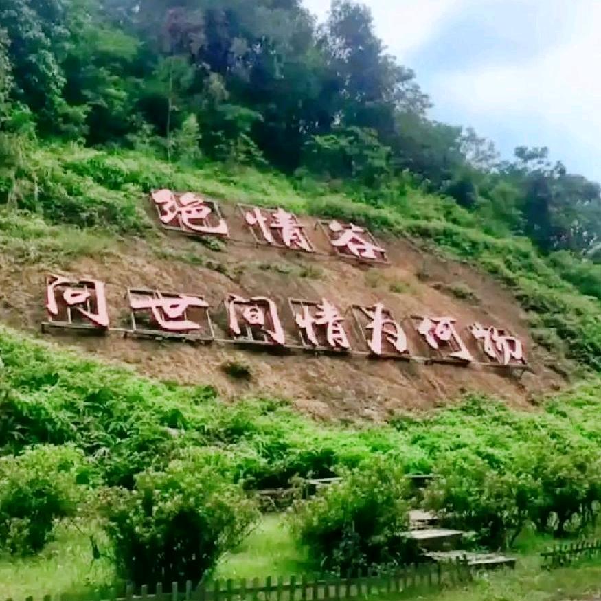 语葵苏辞