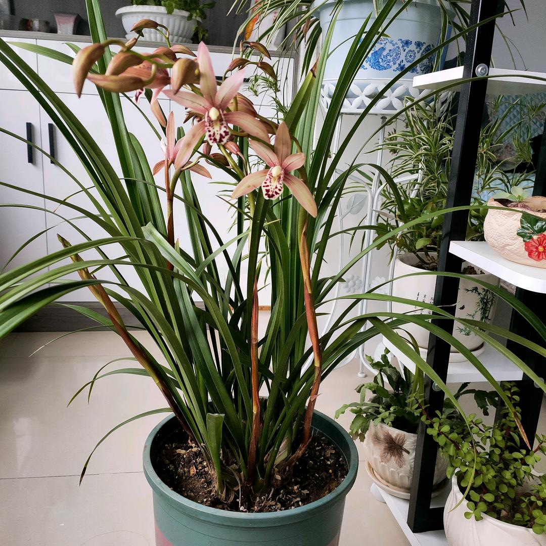 悠然岁月