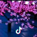 踏雪寻梅
