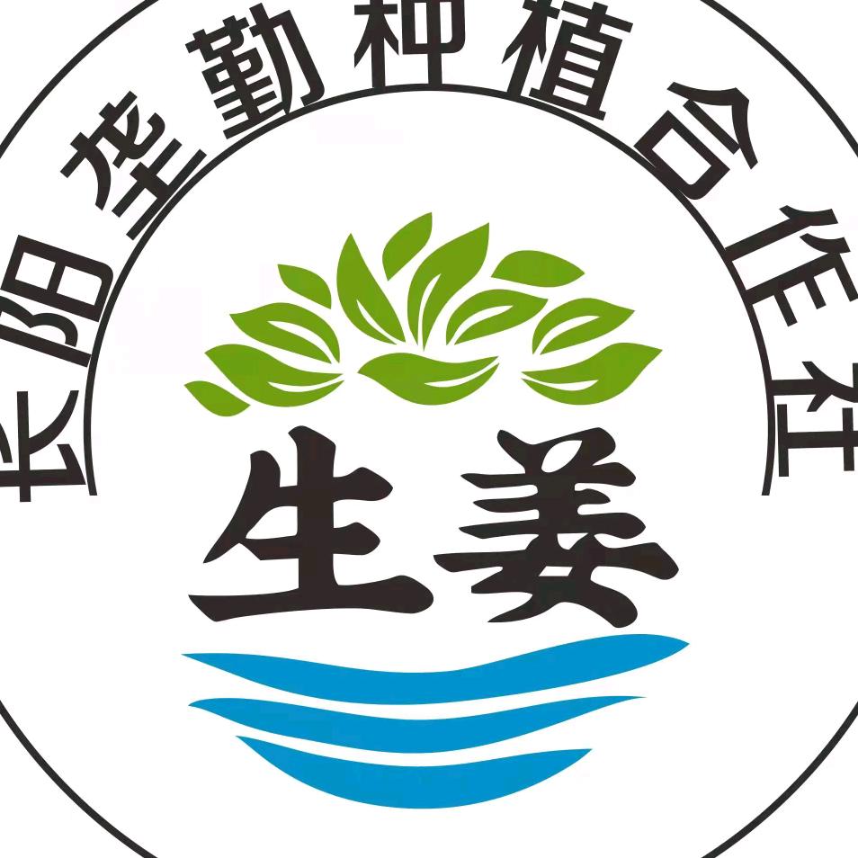 长阳垄勤