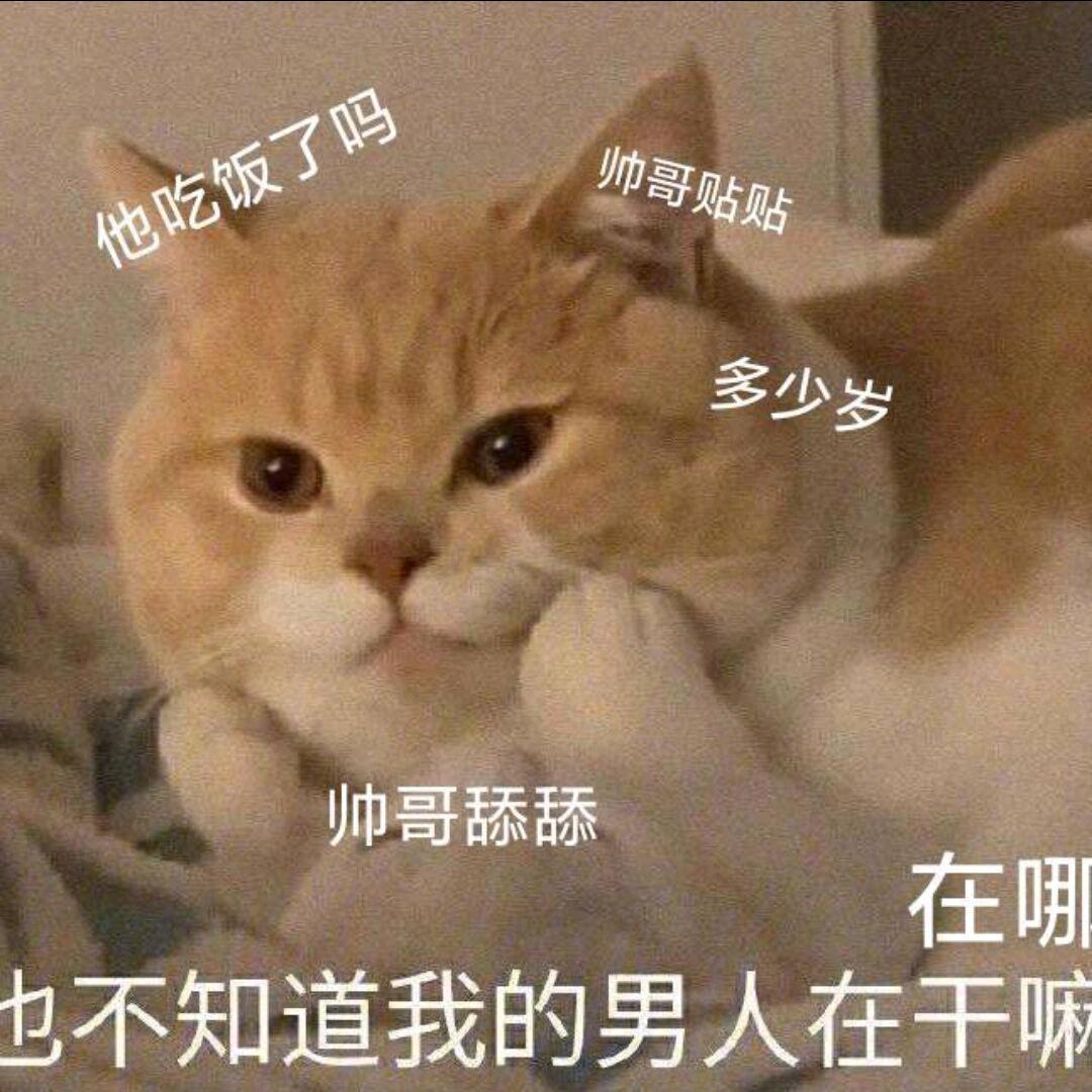 🌈我是软妹🍓