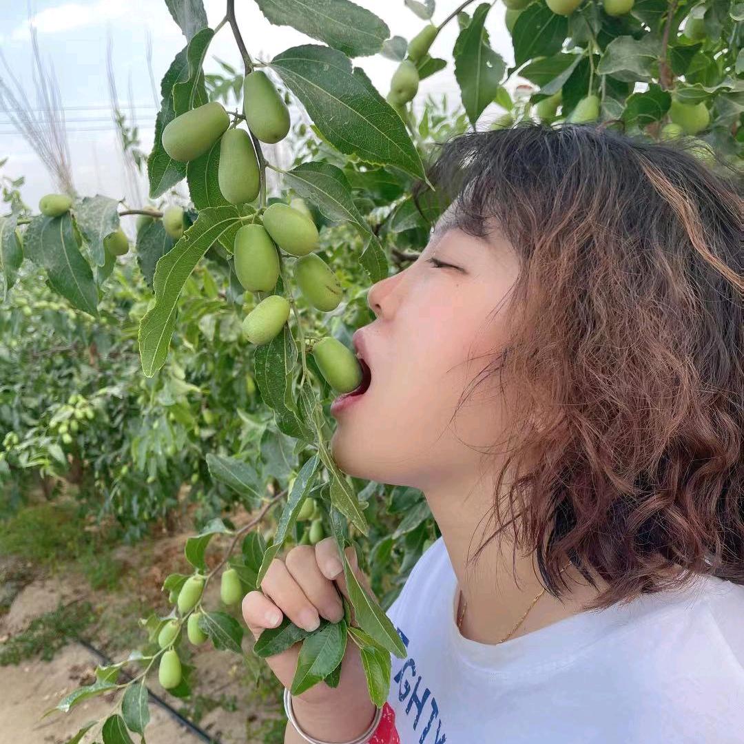 红火火干果食品店新疆嫂子家红枣