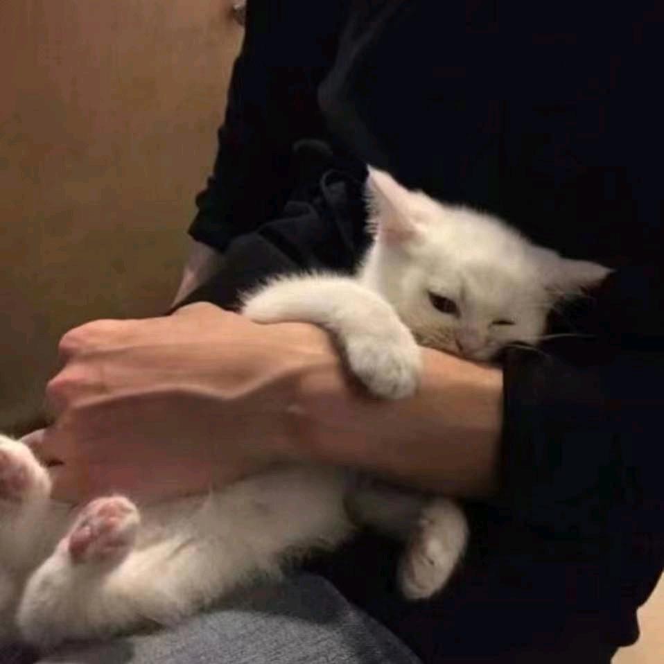 不独