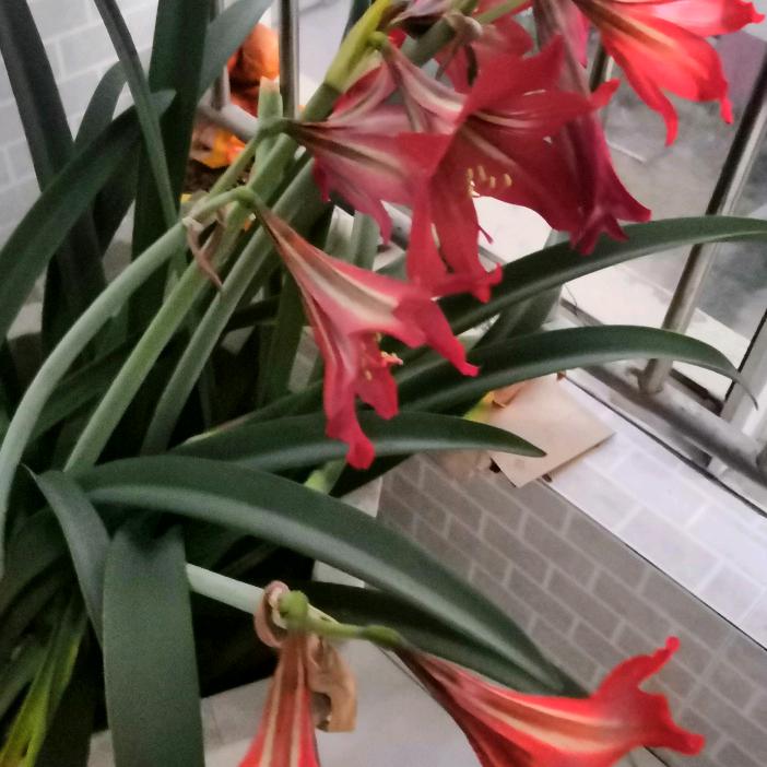 坚持不懈