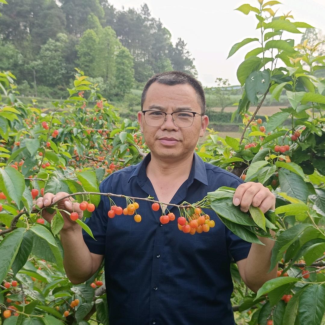 君川益中医农业
