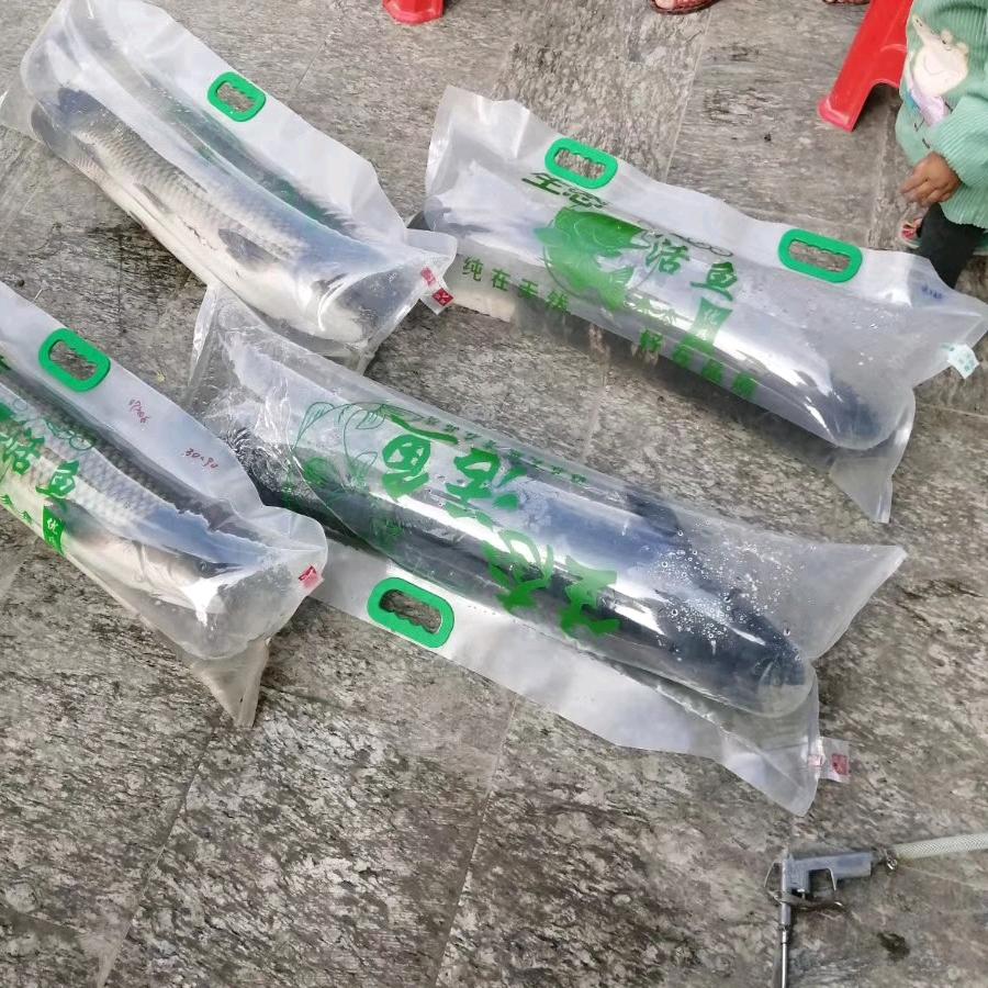 红水河北景水上民宿