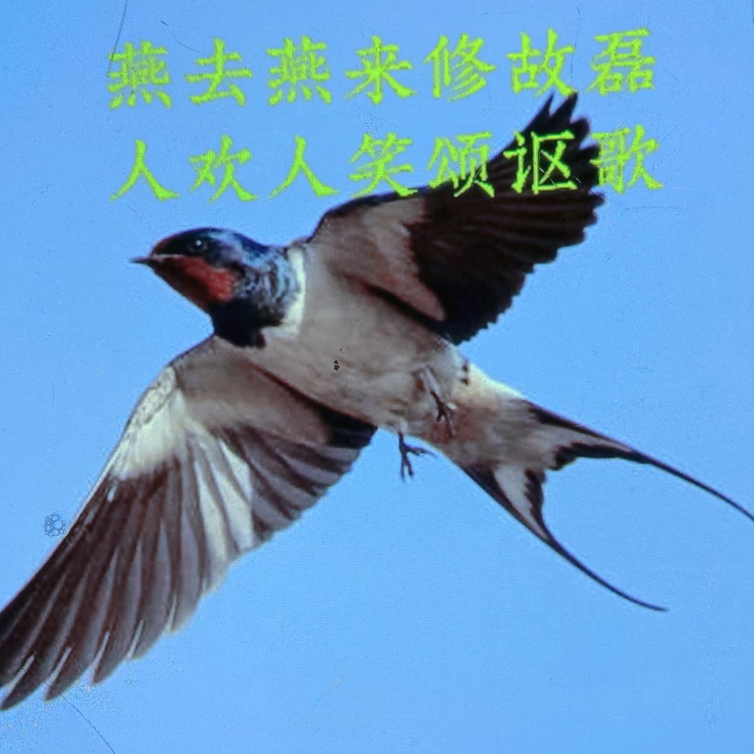 晚霞别样红 用户880609189377