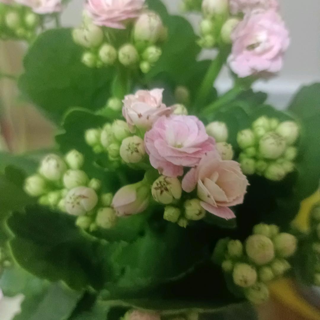 顺其自然，随遇而安