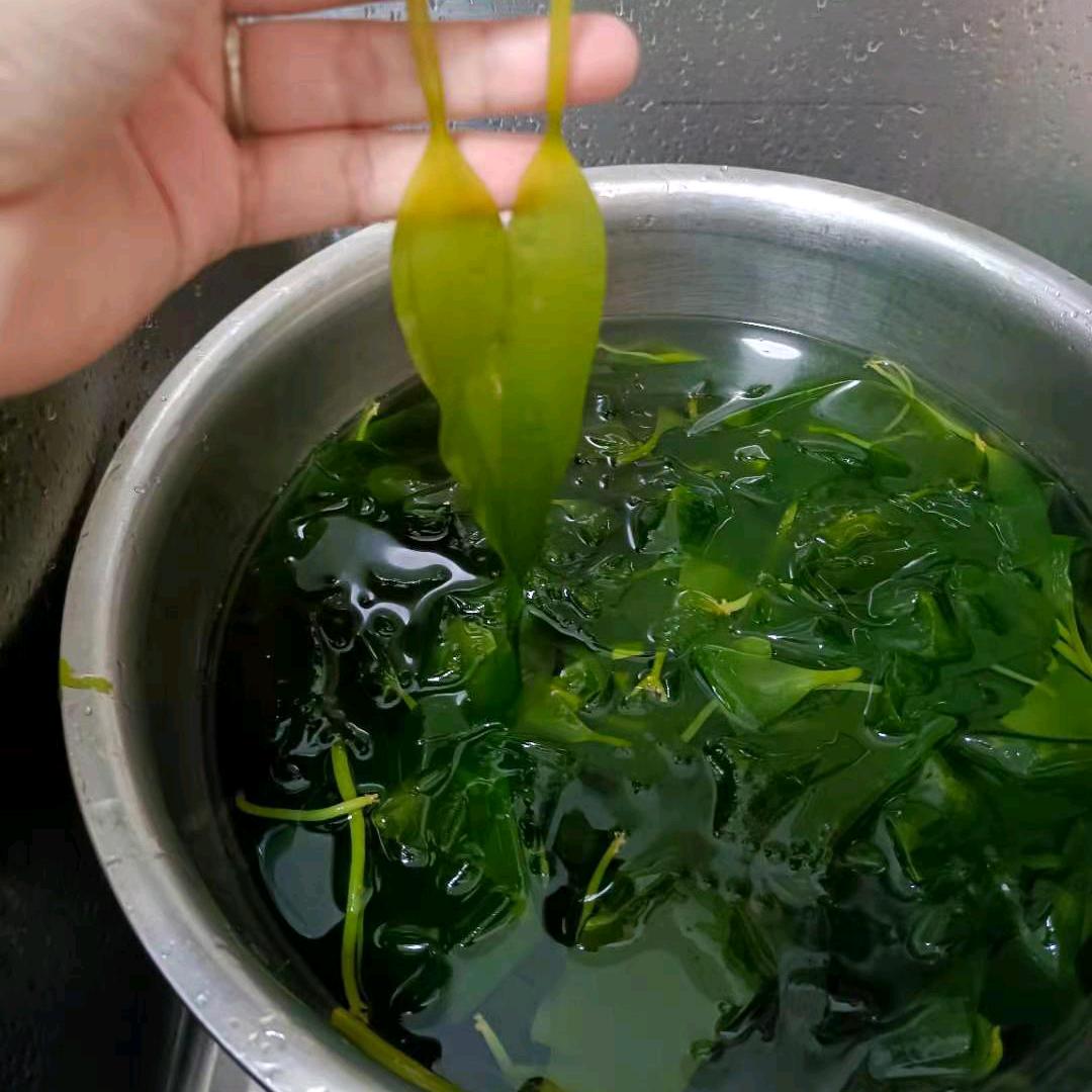 批发，海带嫩苗，紫菜，龙须菜