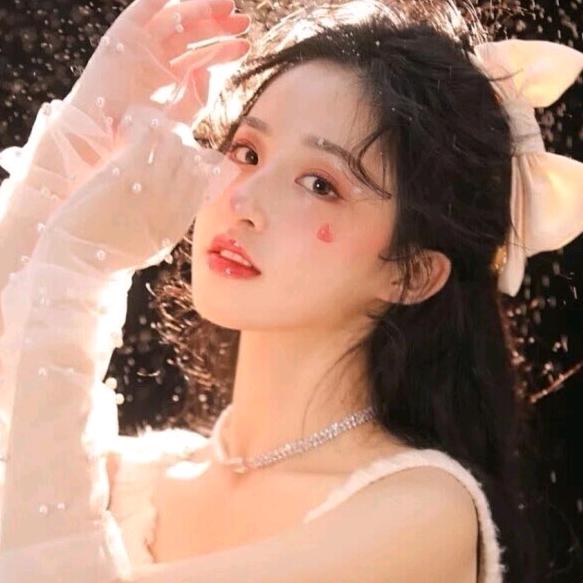 海上森林一只猫🐱