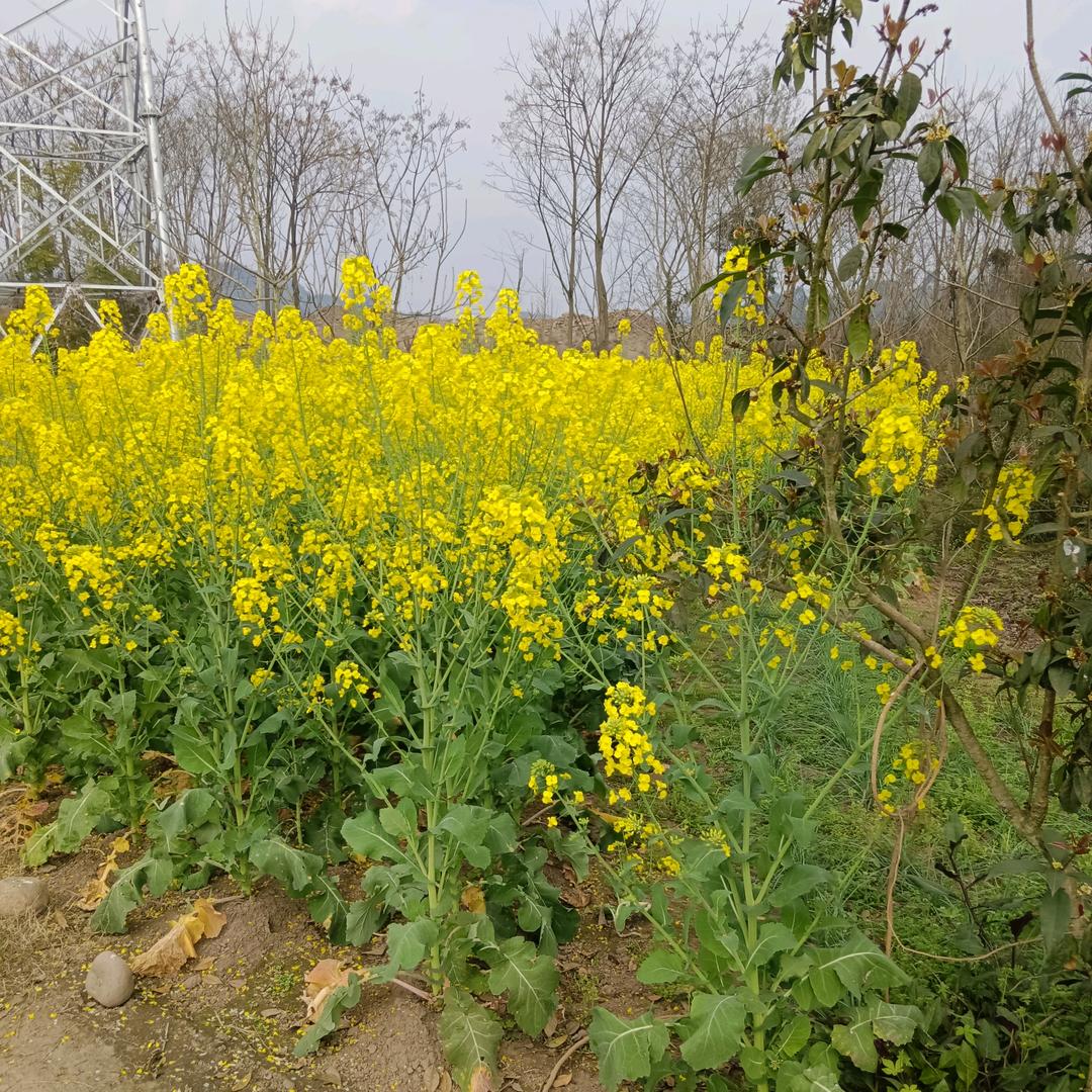 学文一歌