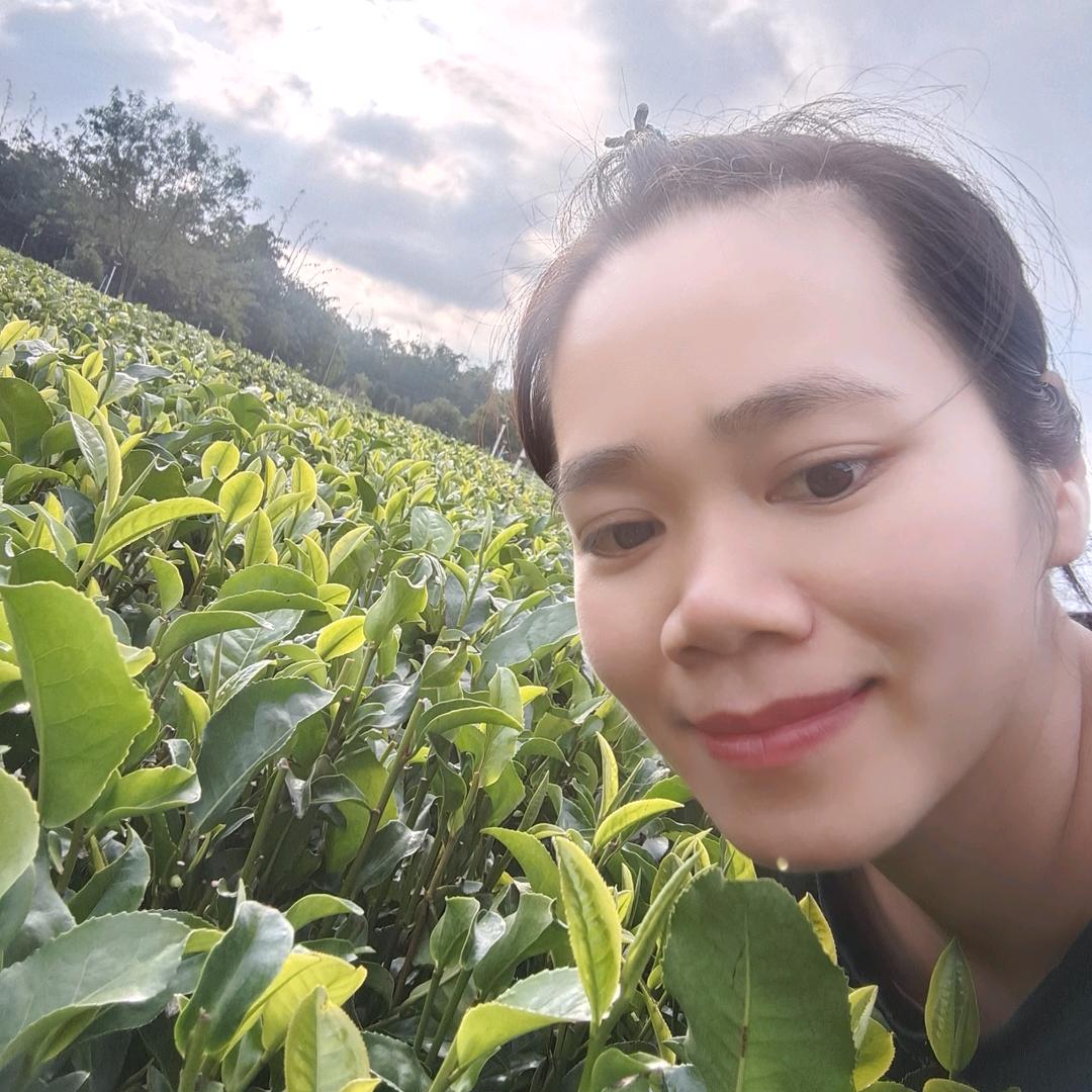 家乡特产－英红九号，山水土猪肉