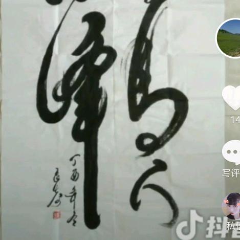 低调哥