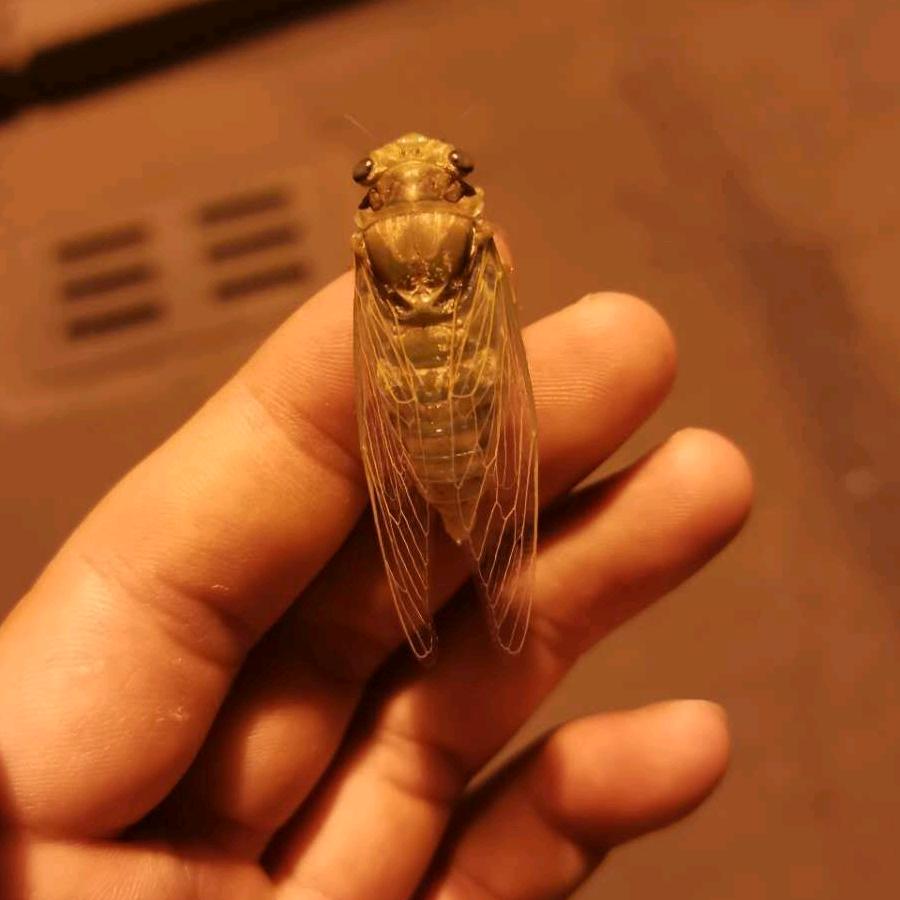 小玉(´▽｀)ノ♪