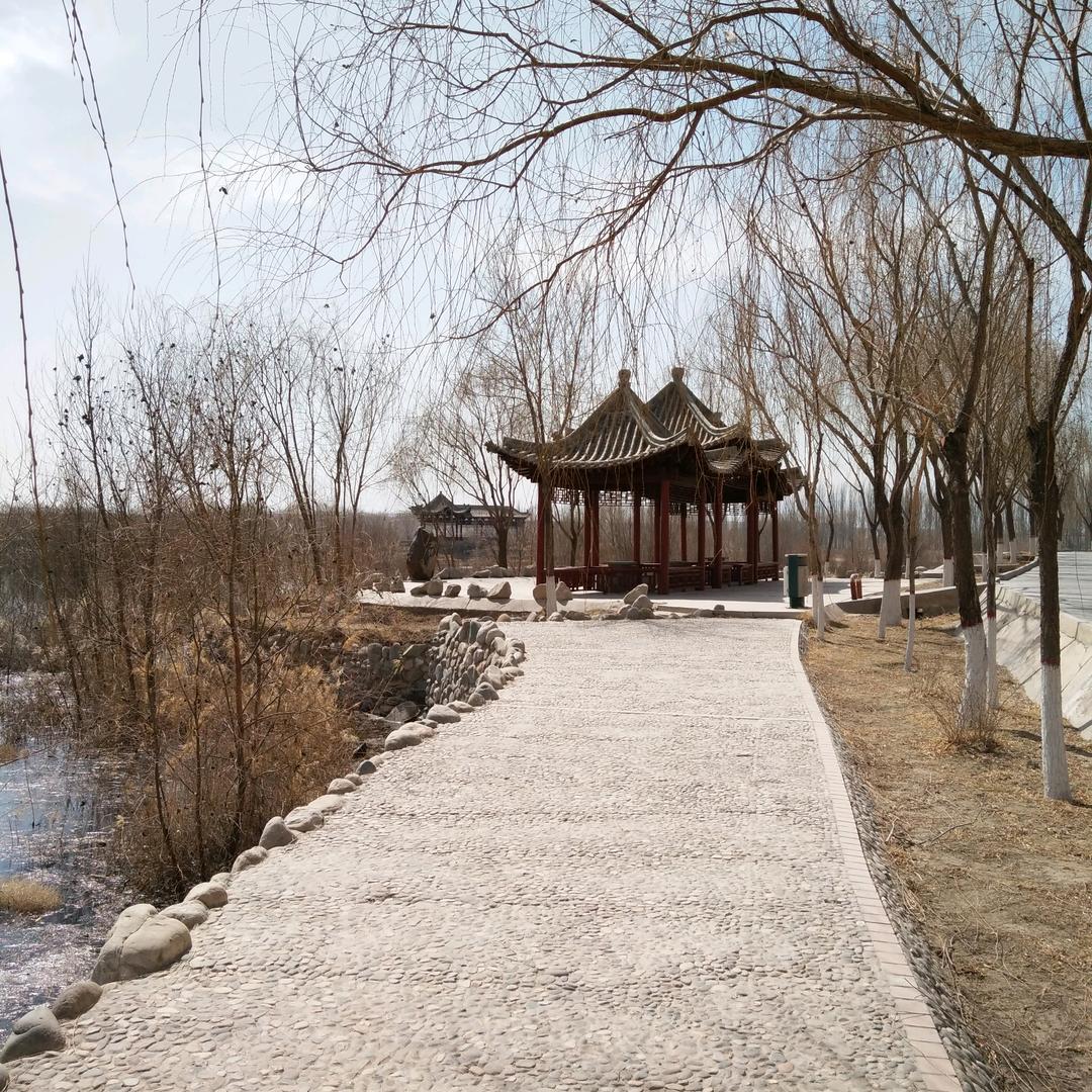 🌈时来运转🌈