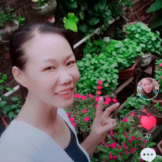 时光淡了回忆 🌸