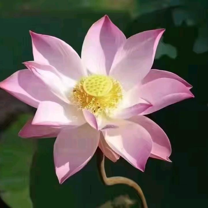 轻松自在