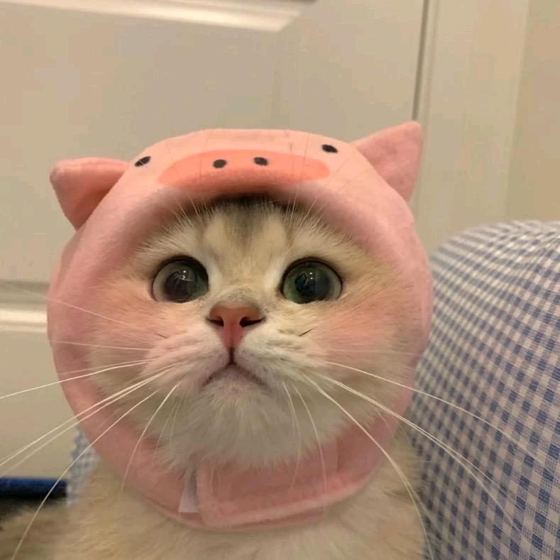 阳光明媚