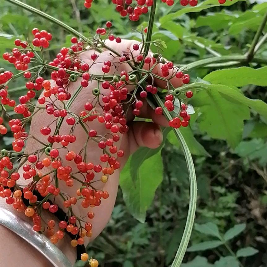 顺其自然⚈₃⚈