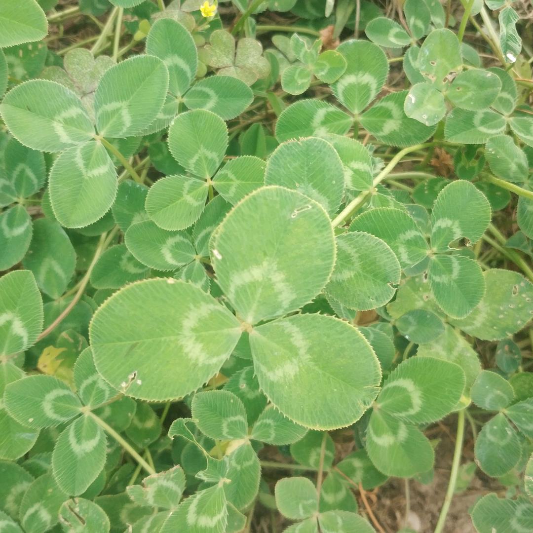 滨州IT疯子           ༽