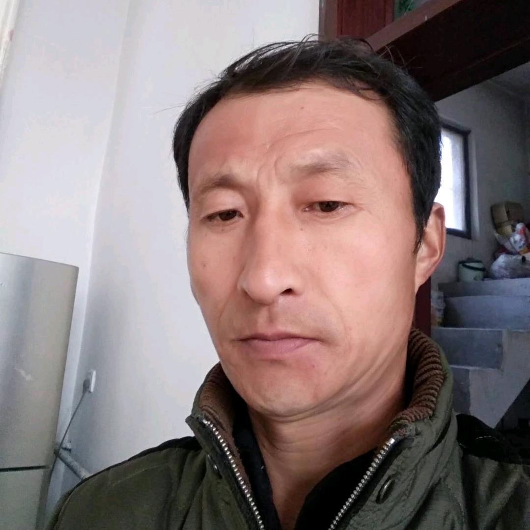 凤凰印记李白头像