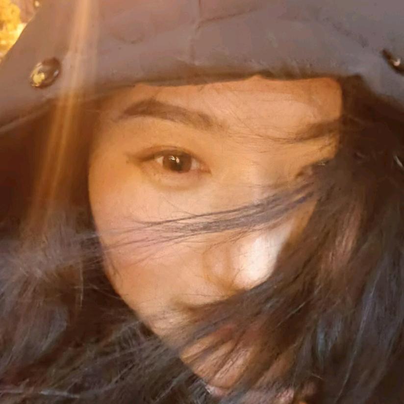 飞不起来的胖鸽子