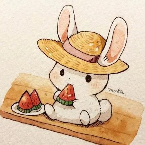 🌈三猫一兔女士的CrazyHouse