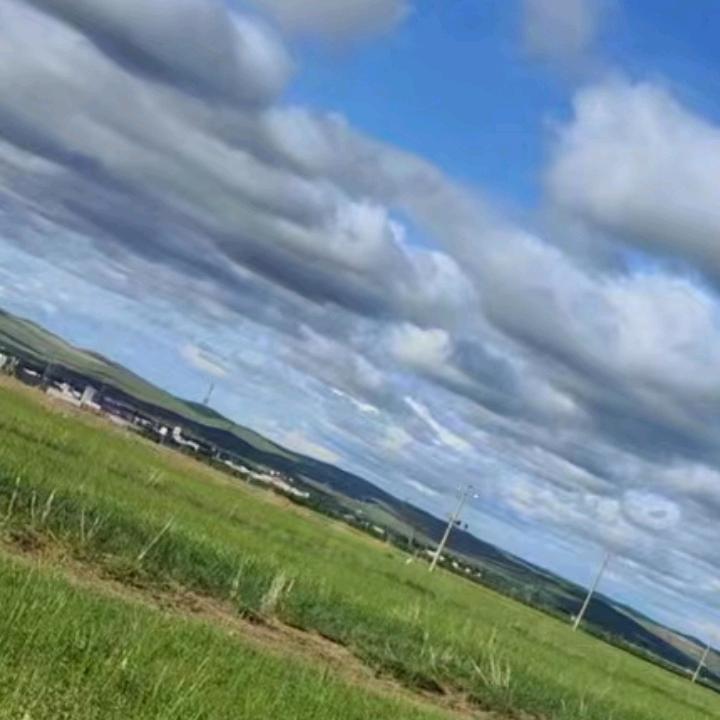 刘哥,